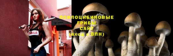 круглые Богородск