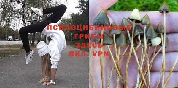 прущая мука Богородицк