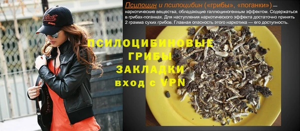 прущая мука Богородицк