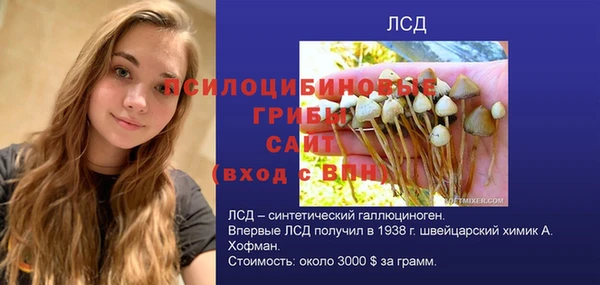 прущая мука Богородицк